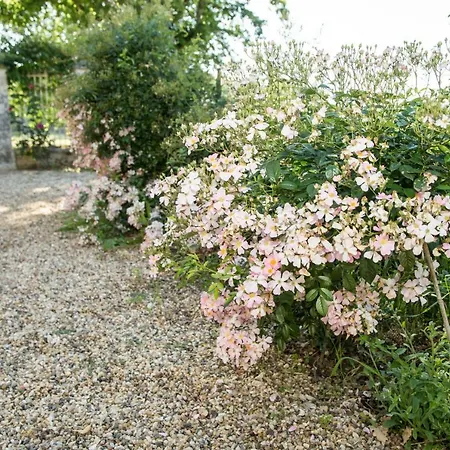 Domaine De Chalamard *