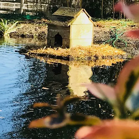 Gasthuis Domaine De Chalamard Vergt
